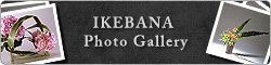 Ikebana Gallery