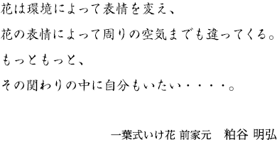 花は環境によって表情を変え、
花の表情によって周りの空気までも違ってくる。
もっともっと、
その関わりの中に自分もいたい・・・・。