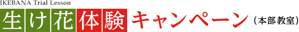 生け花体験キャンペーン（本部教室）